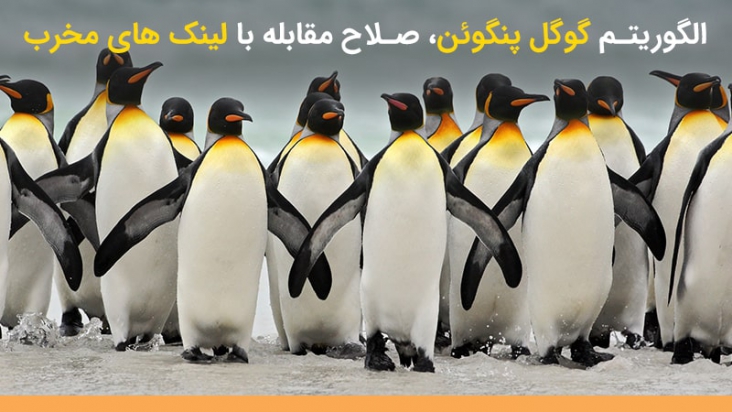 آشنایی با آخرین نسخه الگوریتم پنگوئن | صلاح مقابله با لینک های مخرّب !